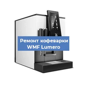 Чистка кофемашины WMF Lumero от кофейных масел в Волгограде